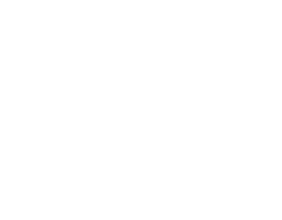 Panamerican Logo Footer