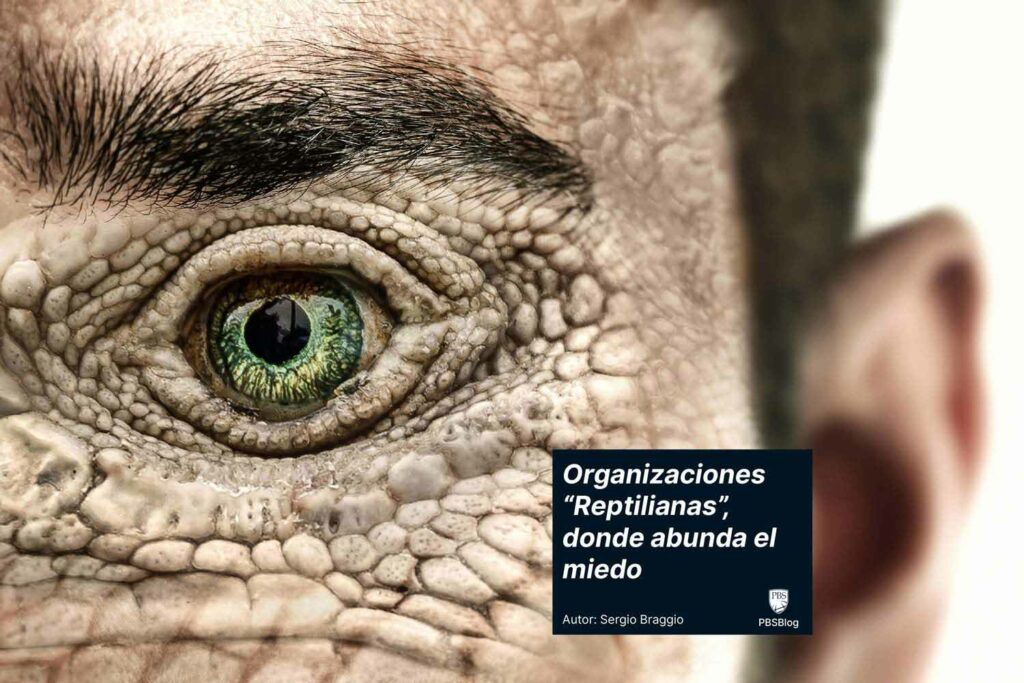 organizaciones reptilianas