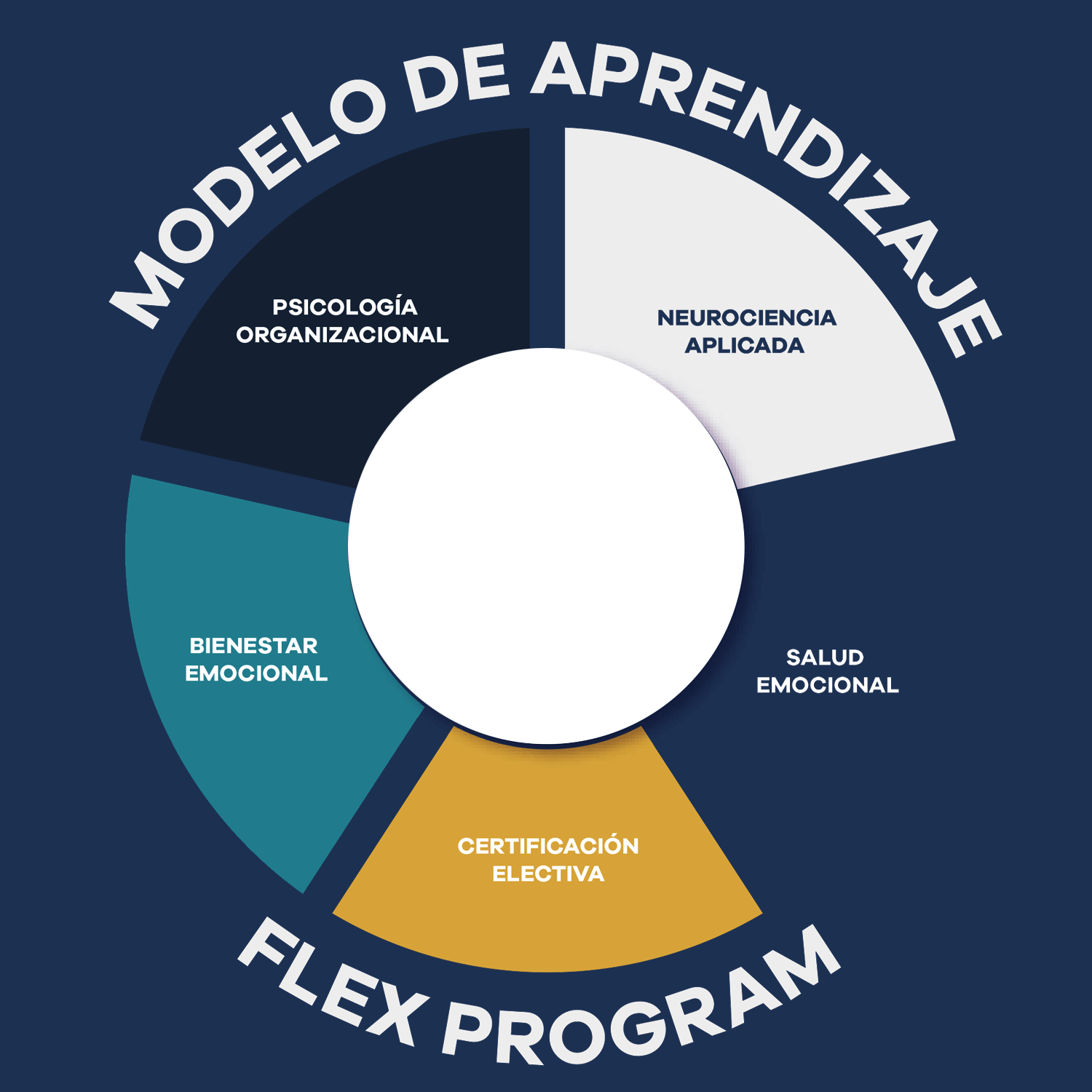 Modelo Bachelor Psicologia Organizacional
