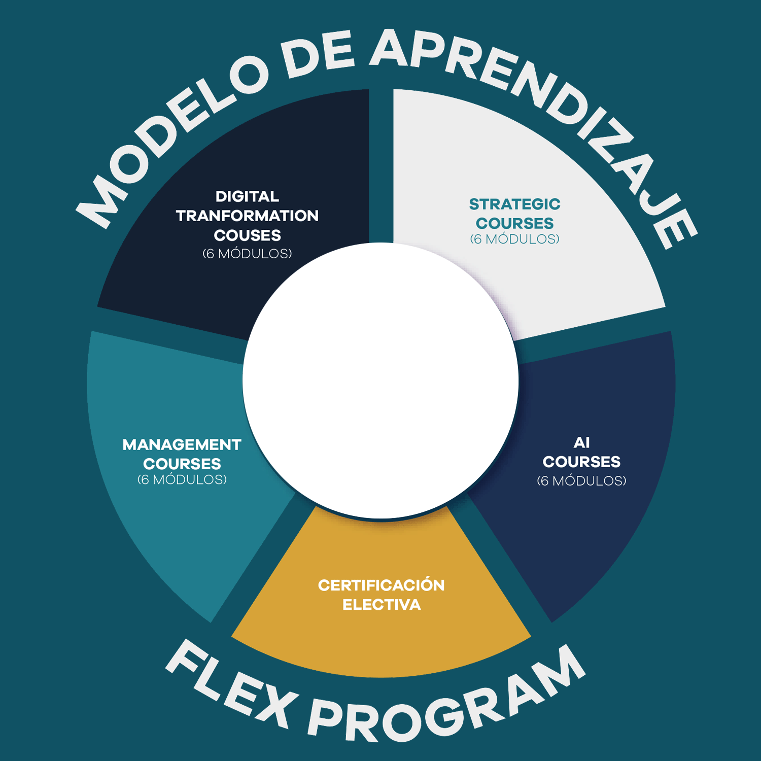 Modelo Bachelor Real Estate