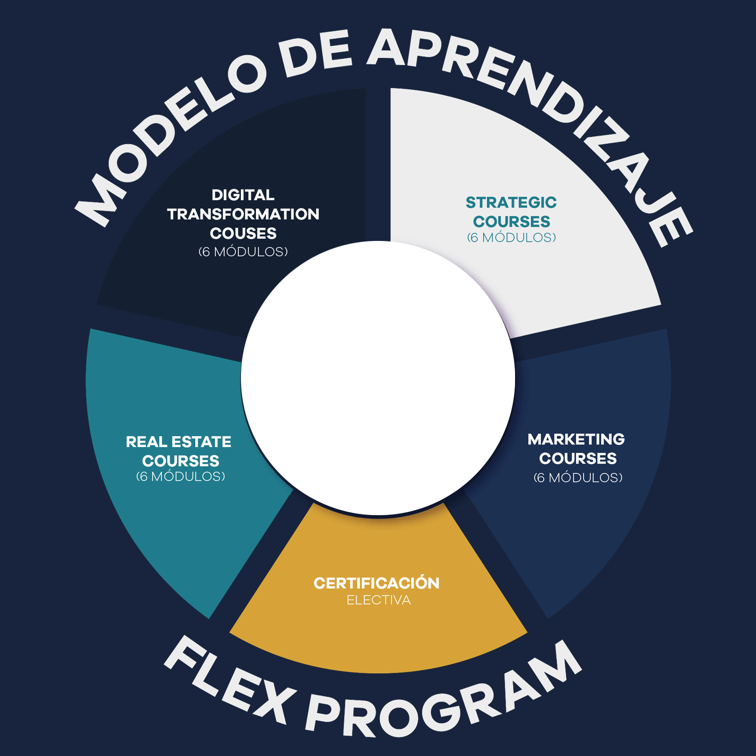 Modelo Bachelor in Business Administration and Artificial Intelligence