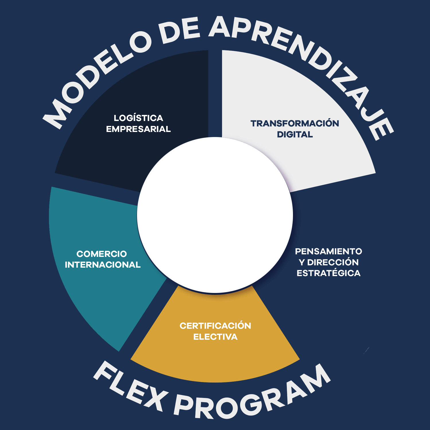 modelo logistica