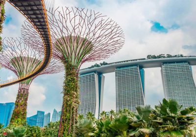 AI-Digital-Pioneers-Singapur